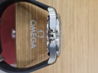 1000591456.jpg