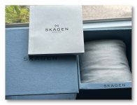 Skagen6.JPEG
