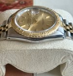 IMG_3087.jpeg