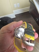 1000042126.jpg