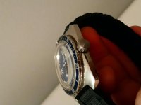 DSC_0342.jpg DSC_0342.jpg