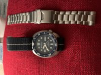 seiko5.jpg