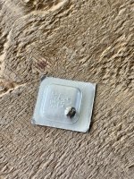 IMG_1976.jpeg