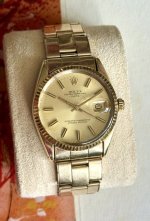 IMG_3498.jpeg