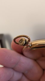 PXL_20250812_020536839.jpg
