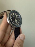 IMG_6896.jpeg