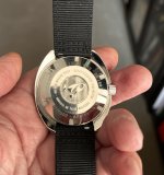 Doxa case back.JPG