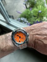 Dox on bracelet.JPG