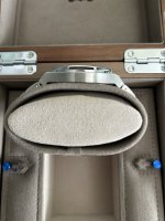 IMG_3177.jpeg