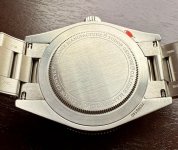 IMG_2046.jpeg
