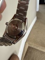 IMG_6979.jpeg