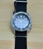 IMG_0453.jpeg
