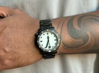 IMG_2235.jpeg