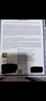IMG_6860.jpeg
