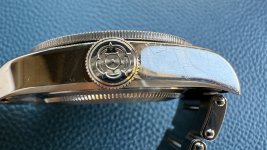 IMG_1219.jpeg IMG_1219.jpeg