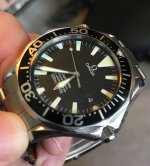 thumbnail_IMG_3880.jpg