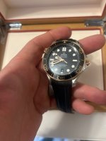 IMG_4437.jpeg IMG_4437.jpeg