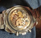 20240110_185629.jpeg 20240110_185629.jpeg