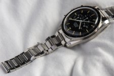 000_6679-16.jpeg 000_6679-16.jpeg