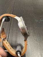 IMG_5667.jpeg IMG_5667.jpeg