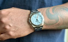 IMG_4153.jpeg IMG_4153.jpeg