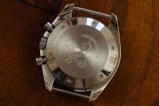 000_6996.jpg 000_6996.jpg