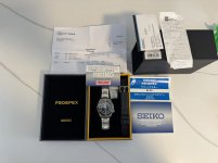 IMG_2993-compressed.jpeg IMG_2993-compressed.jpeg