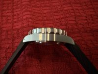 IMG_3536 Medium.jpeg