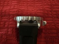 IMG_3541 Medium.jpeg