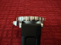 IMG_3540 Medium.jpeg