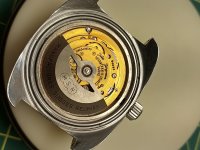 IMG_20260223_230244_MP.jpg IMG_20260223_230244_MP.jpg