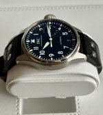 IMG_9204.jpeg IMG_9204.jpeg