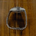 _DSF0235.jpg _DSF0235.jpg