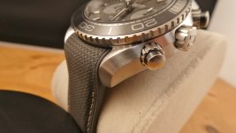 pogy05.JPG pogy05.JPG