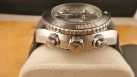 pogy06.JPG pogy06.JPG