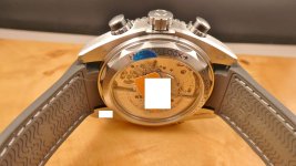 pogy09.JPG pogy09.JPG