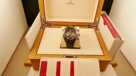 pogy11.JPG pogy11.JPG