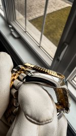 IMG_4286.jpeg