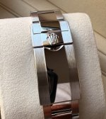 IMG_2156.jpeg