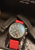 IMG_3175.jpeg