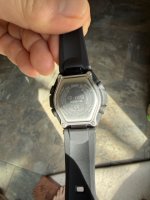 IMG_4336 Medium.jpeg