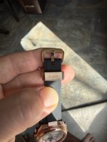 IMG_4337 Medium.jpeg