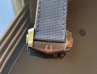 IMG_3282.jpeg