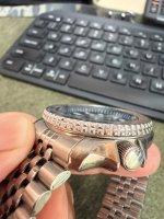 IMG_8791.jpeg