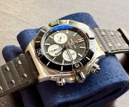 IMG_3337.jpeg