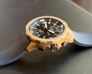 IMG_3880.jpeg