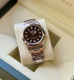 IMG_4356.jpeg IMG_4356.jpeg