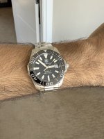 IMG_8024.jpeg