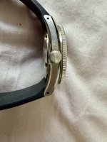 IMG_4769.jpeg