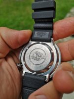 IMG_20200811_174518.jpg